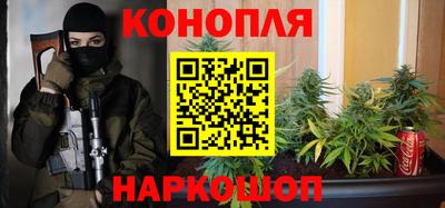 прущие крисы Гусев