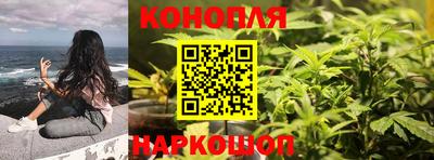 прущие крисы Гусев