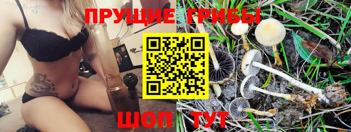 Иркутск  Псилоцибиновые грибы прущие грибы  где купить   Вход с VPN 