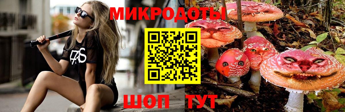 Псилоцибиновые грибы Psilocybine cubensis Иркутск